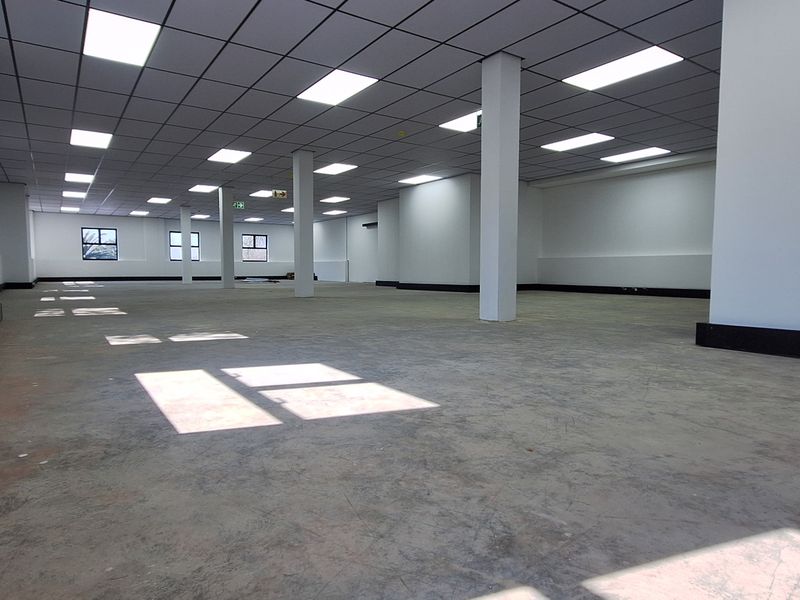 A spacious, open-plan office area featuring a suspended ceiling, recessed lighting, and structural columns, ready for custom fit-out.