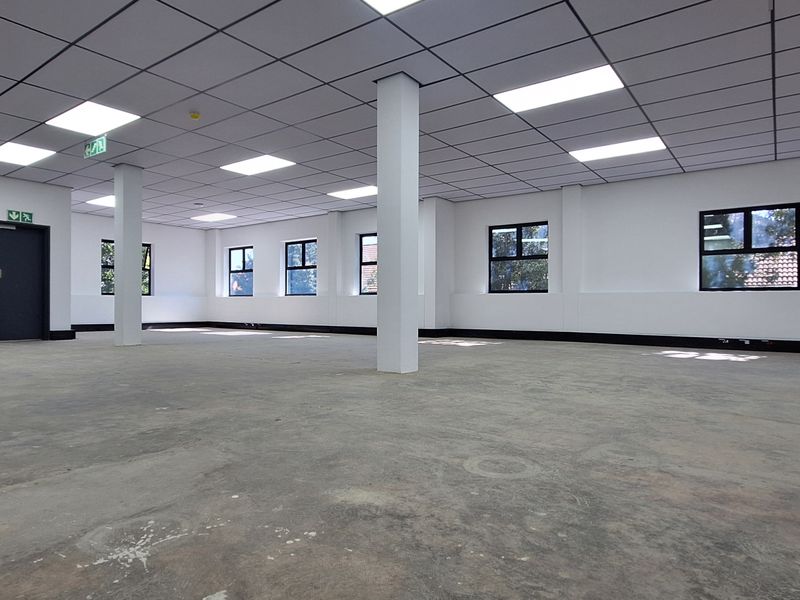 A spacious, open-plan office area featuring a suspended ceiling with recessed lighting, structural columns, and large windows, ready for custom flooring and fit-out.