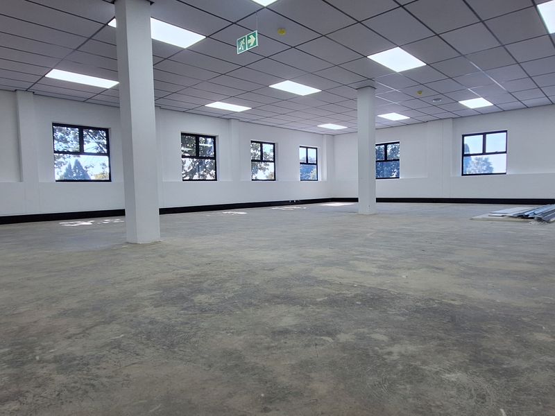 A spacious, open-plan office area featuring a suspended ceiling with recessed lighting, structural columns, and large windows providing ample natural light.