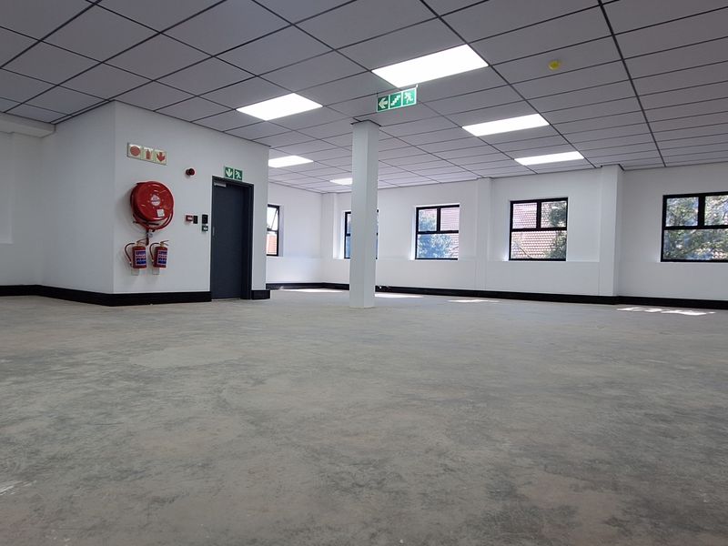 Spacious open-plan office area featuring a suspended ceiling, recessed lighting, structural columns, and large windows providing ample natural light.