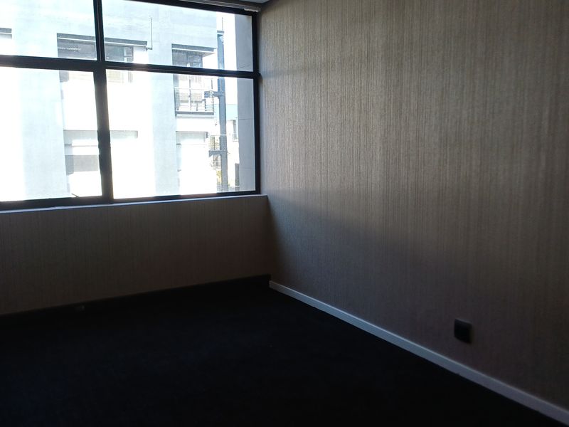 A clean, empty office space featuring large windows, textured wall finishes, and dark carpeting, providing a professional environment ready for occupancy.