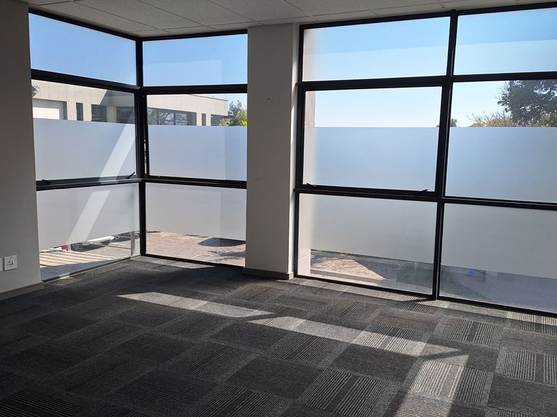 A bright, vacant office space featuring large windows with frosted privacy film, carpet tile flooring, and a suspended ceiling with integrated lighting.