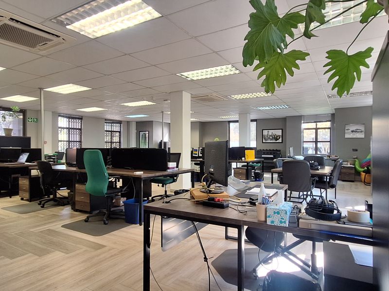 Spacious open-plan office area featuring suspended ceilings, recessed lighting, central air conditioning, and durable laminate flooring with security-fitted windows.