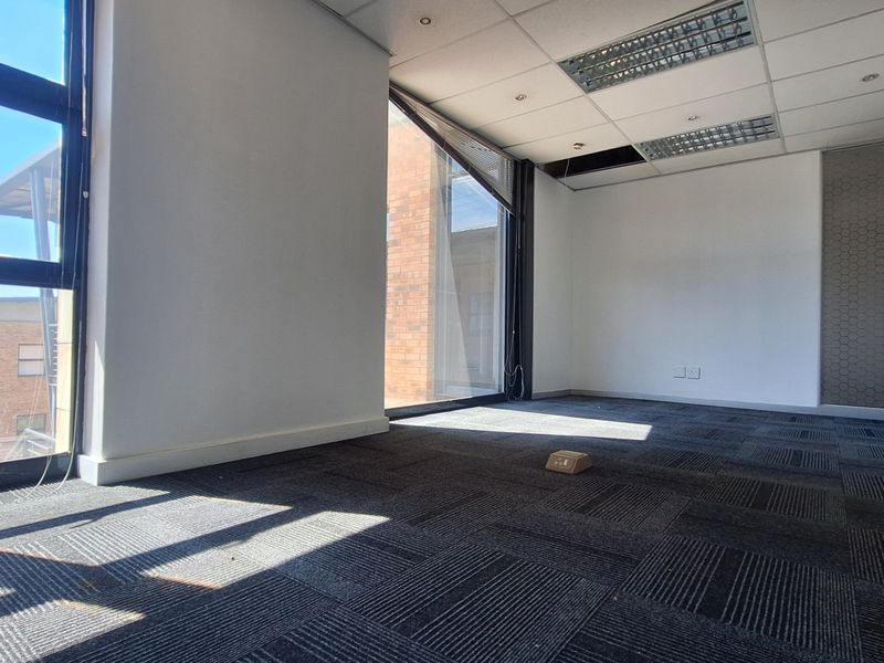An empty office space featuring carpet tiles, a suspended ceiling with recessed lighting, and large windows providing ample natural light.