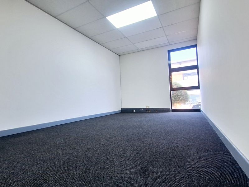 A clean, empty office space featuring neutral walls, dark carpet flooring, a suspended ceiling with recessed lighting, and a large window for natural light.