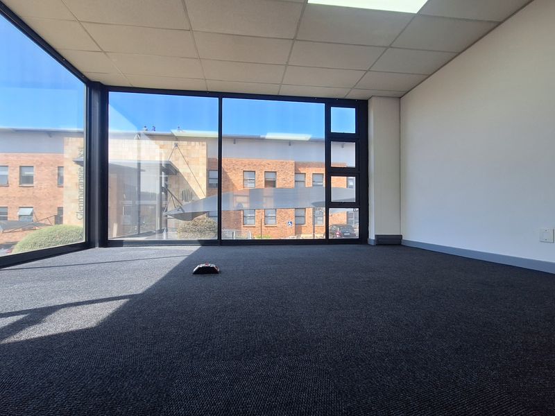 A bright, empty office space featuring large floor-to-ceiling windows, carpeted flooring, and a suspended ceiling, offering a professional and airy work environment.
