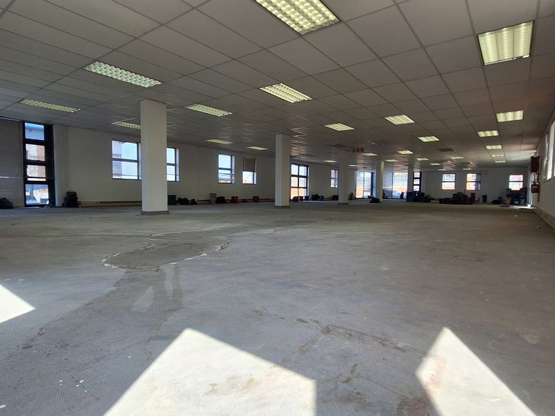 A large, open-plan office space featuring a suspended ceiling, recessed lighting, structural columns, and expansive windows, currently awaiting flooring finishes.