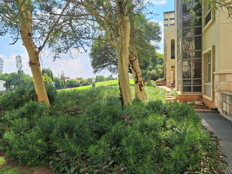 A view of the rear exterior of the office building, featuring landscaped garden areas, mature trees, and a modern glass facade.