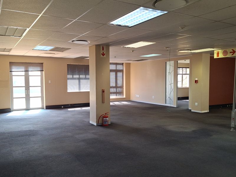 Spacious open-plan office area featuring a suspended ceiling, recessed lighting, and carpeted flooring, offering a versatile workspace layout.