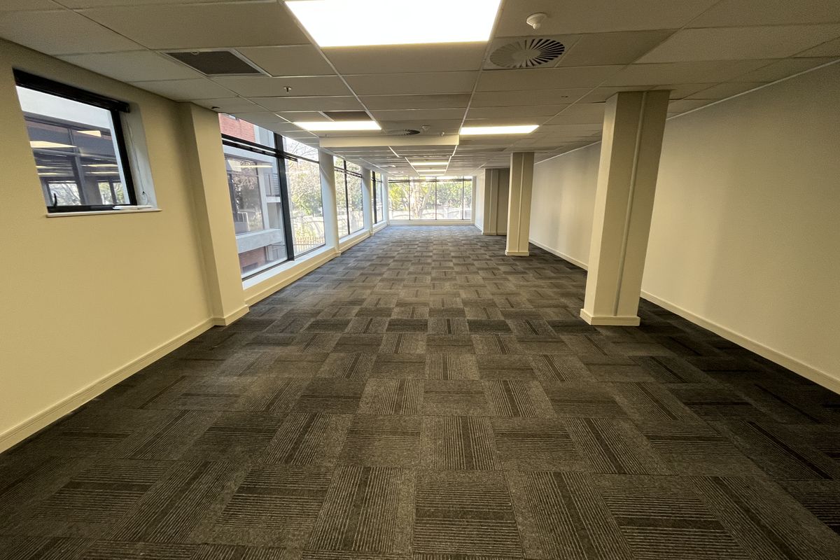 A spacious, empty open-plan office area featuring carpeted flooring, large windows providing natural light, and a suspended ceiling with integrated lighting.