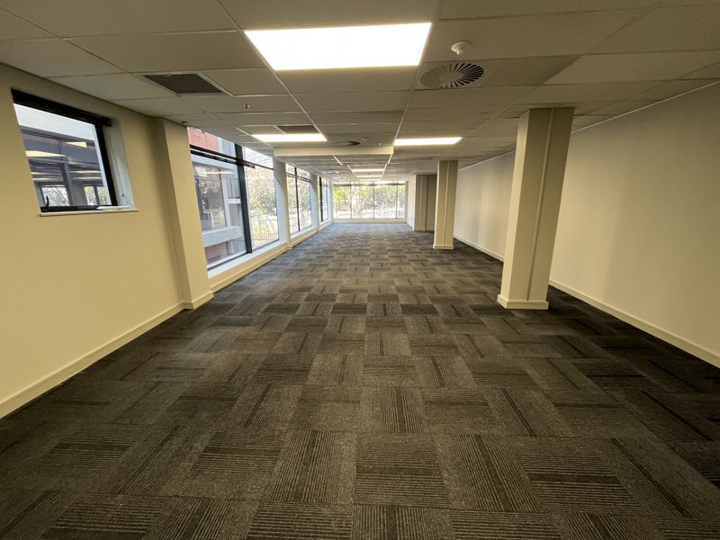 A spacious, empty open-plan office area featuring carpeted flooring, large windows providing natural light, and a suspended ceiling with integrated lighting.