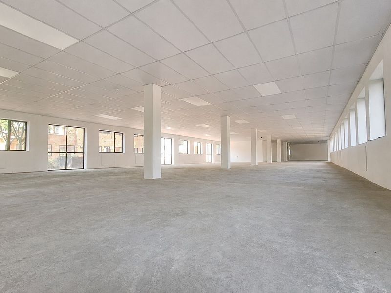 A spacious, open-plan office area featuring a suspended ceiling, recessed lighting, and large windows providing ample natural light.