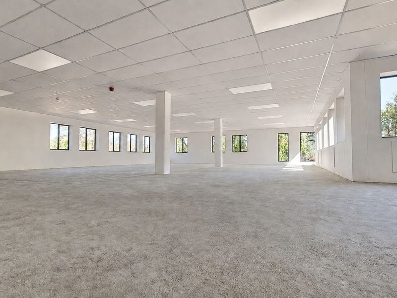 A spacious, open-plan office area featuring a suspended ceiling, recessed lighting, and large windows providing ample natural light.