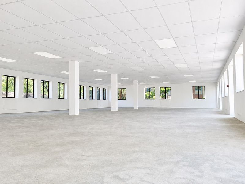 A spacious, open-plan office area featuring a clean, minimalist design with a suspended ceiling, recessed lighting, and abundant natural light from multiple windows.