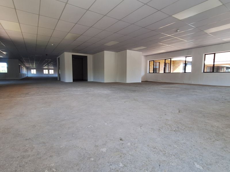 A large, open-plan office space featuring a suspended ceiling, recessed lighting, and expansive windows, currently presented as a blank canvas with unfinished concrete flooring.