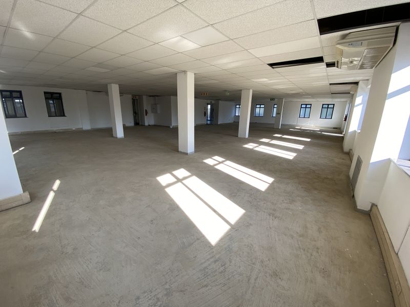 A large, open-plan office space featuring a suspended ceiling, structural columns, and multiple windows, currently in a shell condition ready for fit-out.