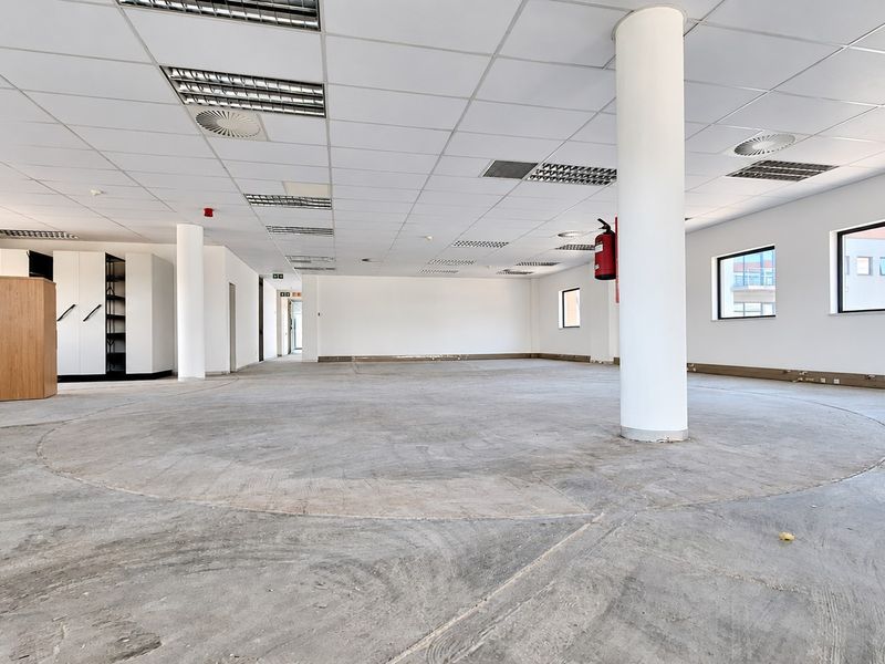 Spacious open-plan office area featuring a suspended ceiling, recessed lighting, structural columns, and unfinished concrete flooring, ready for custom fit-out.