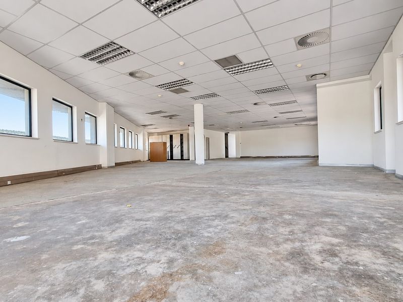 A large, open-plan office space featuring a suspended ceiling with recessed lighting, central air conditioning, and expansive windows providing ample natural light.