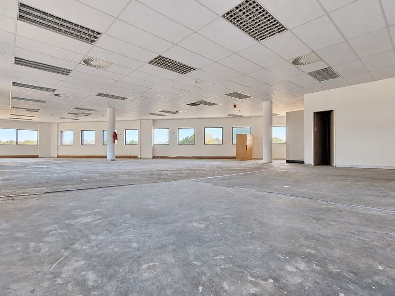 A large, open-plan office space featuring a suspended ceiling with recessed lighting, structural columns, and unfinished concrete flooring ready for custom fit-out.