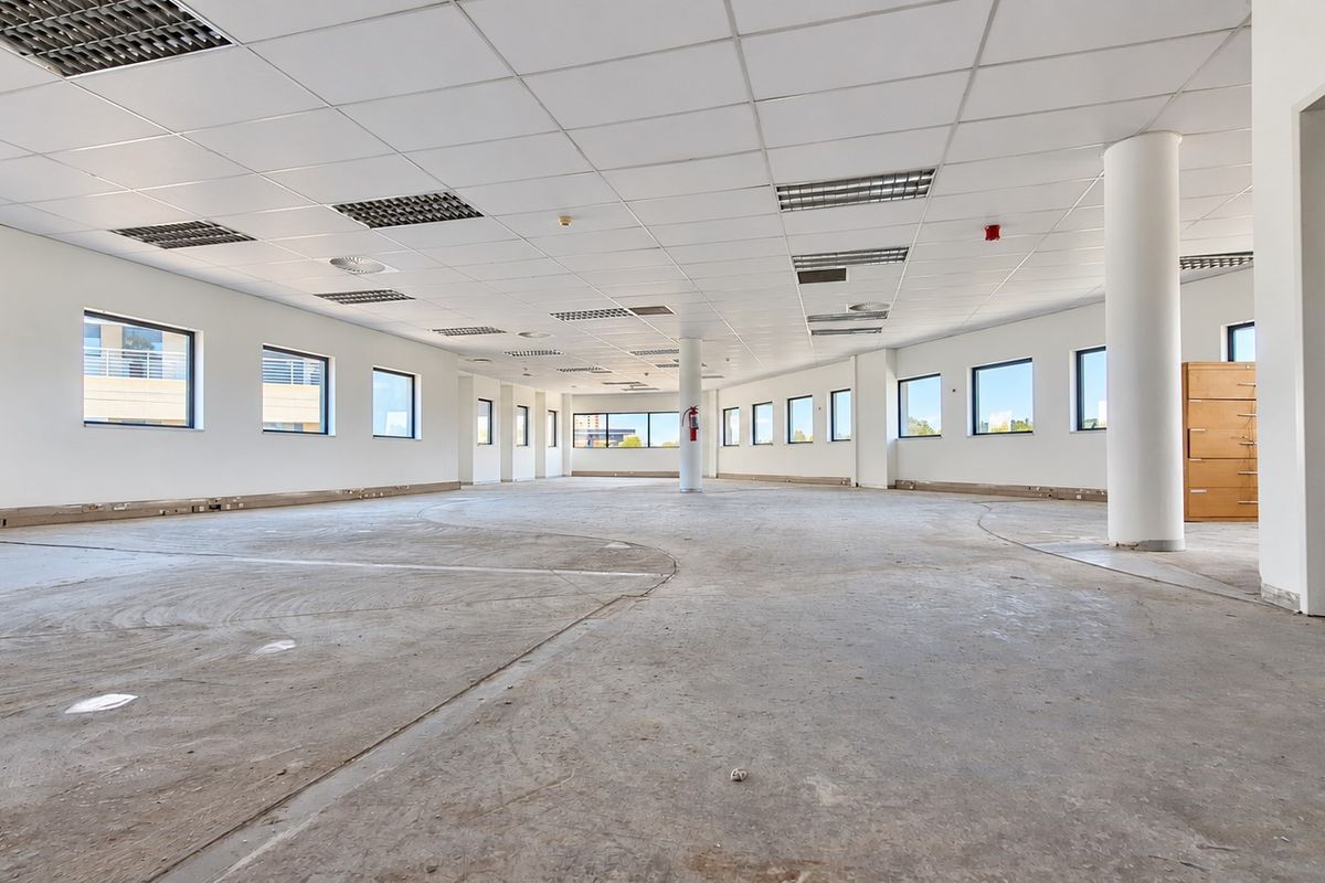 Spacious open-plan office area featuring a suspended ceiling, recessed lighting, structural columns, and unfinished concrete flooring, ready for custom fit-out.