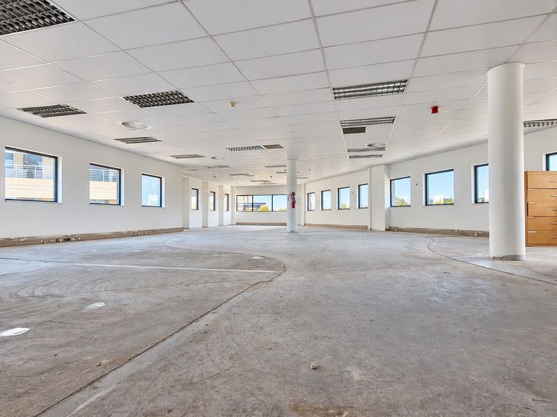 Spacious open-plan office area featuring a suspended ceiling, recessed lighting, structural columns, and unfinished concrete flooring, ready for custom fit-out.