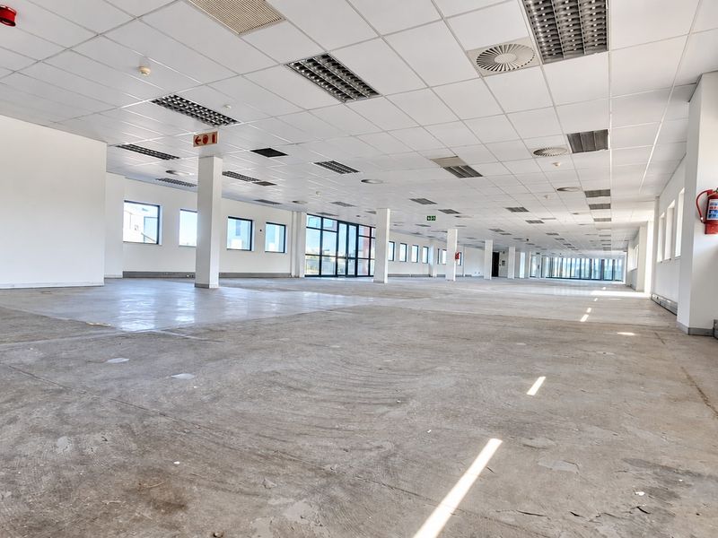 A large, open-plan office space featuring a suspended ceiling, recessed lighting, and exposed concrete flooring, ready for custom fit-out.