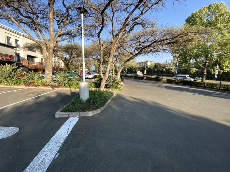 An exterior view of the office property parking area featuring asphalt paving, concrete curbing, and established trees within landscaped garden beds.