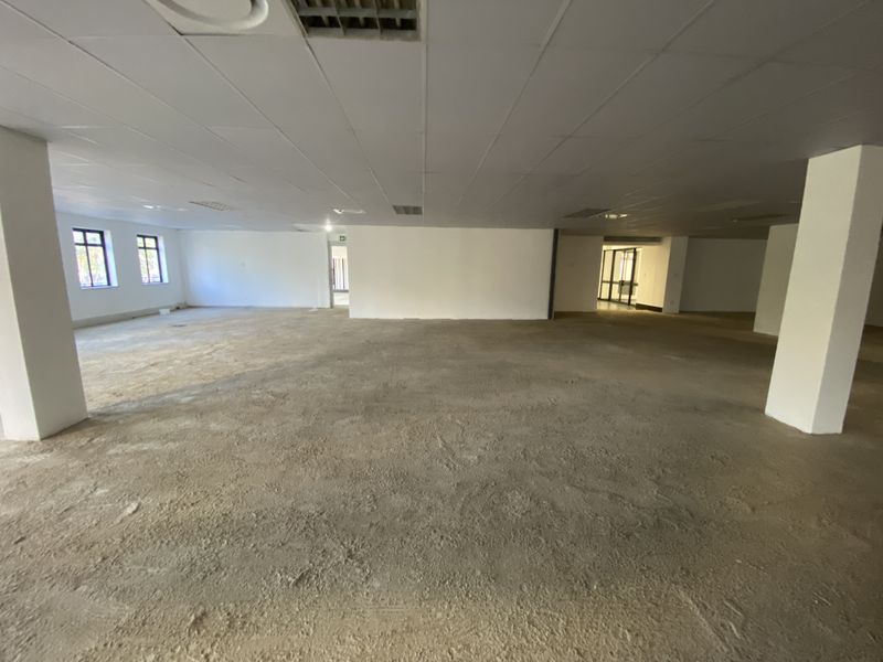 A large, open-plan office space featuring structural columns, a suspended ceiling with integrated lighting, and unfinished concrete flooring, ready for custom fit-out.