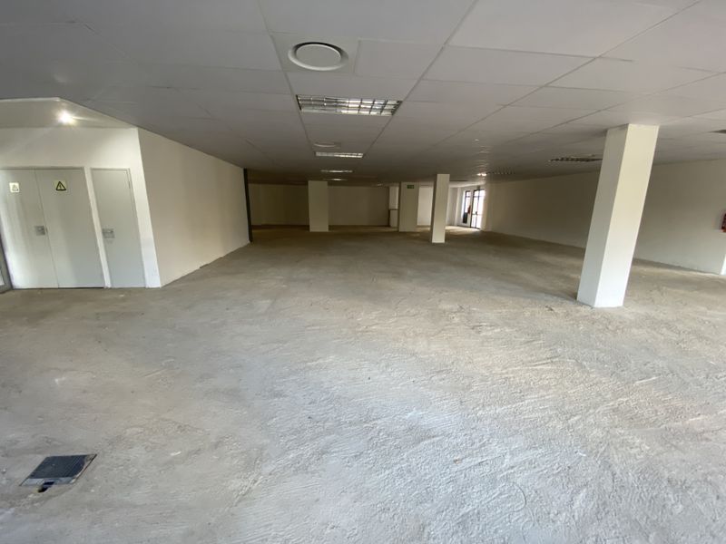 A large, open-plan office space featuring a suspended ceiling, recessed lighting, and unfinished concrete flooring, offering a blank canvas for custom fit-out.