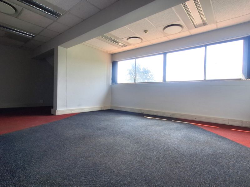 An empty, open-plan office space featuring suspended ceilings, recessed lighting, and large windows providing natural light, ready for custom fit-out.