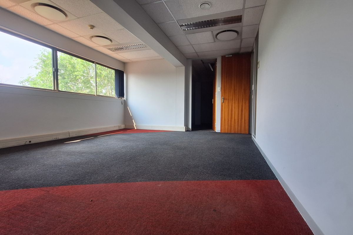 An empty office space featuring large windows, suspended ceilings with recessed lighting, and dual-tone carpet flooring.