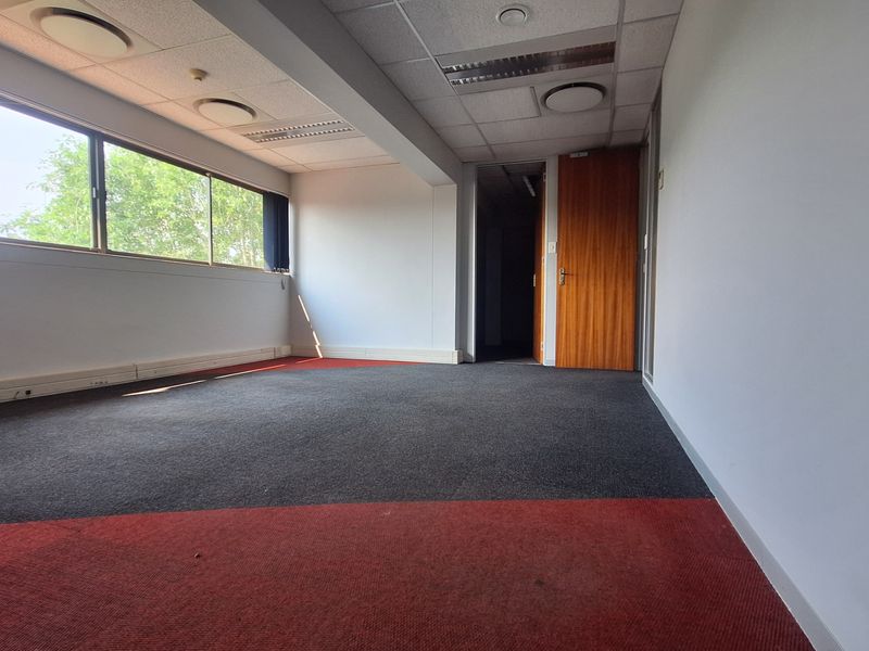An empty office space featuring large windows, suspended ceilings with recessed lighting, and dual-tone carpet flooring.