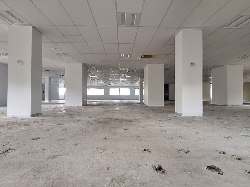A large, open-plan office space featuring a suspended ceiling, recessed lighting, and structural columns, currently awaiting flooring finishes.
