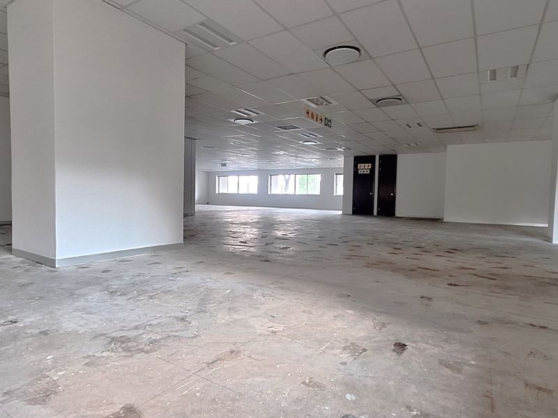 A large, open-plan office space featuring a suspended ceiling, recessed lighting, and exposed concrete flooring, ready for custom fit-out.