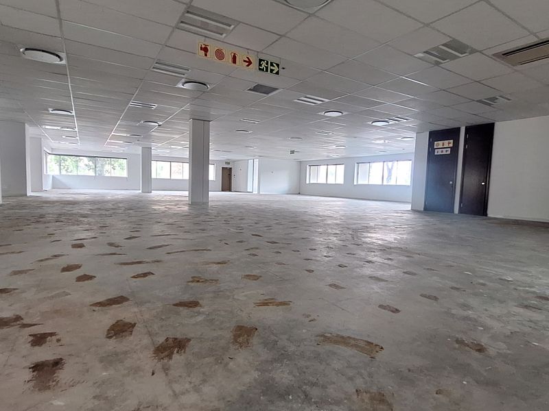 A large, open-plan office space featuring a suspended ceiling, recessed lighting, and exposed concrete flooring, ready for custom fit-out.
