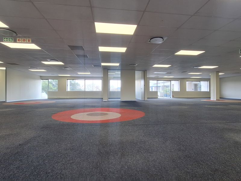 A large, open-plan office space featuring a suspended ceiling with recessed lighting and patterned carpet flooring, offering a versatile layout for professional use.