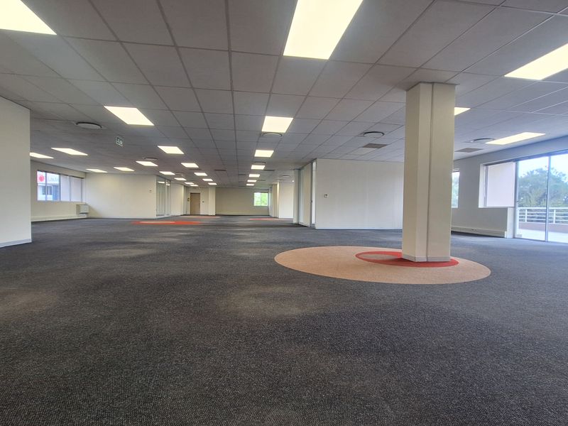 A large, open-plan office space featuring a suspended ceiling, recessed lighting, and expansive windows providing natural light.