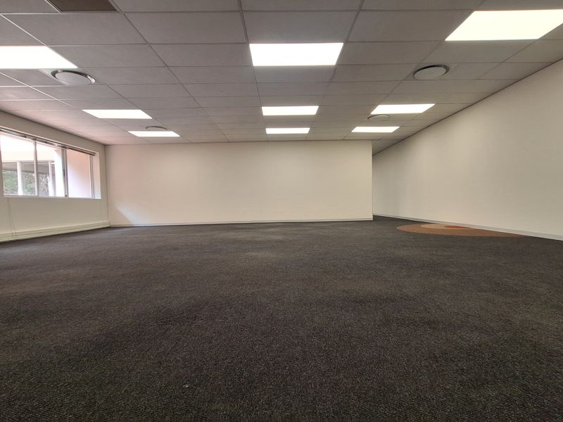 A spacious, empty open-plan office area featuring a suspended ceiling with recessed lighting, large windows, and dark carpeting.