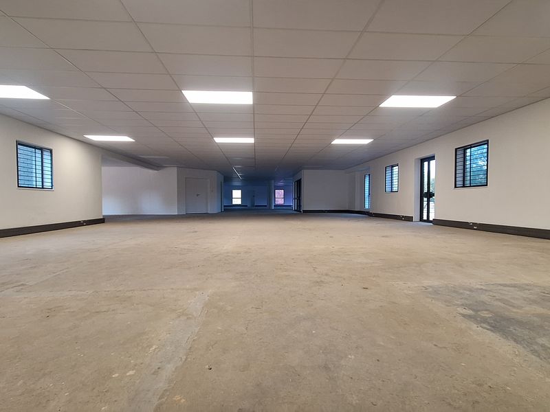A large, open-plan office space featuring a suspended ceiling with recessed lighting, security bars on windows, and unfinished concrete flooring.