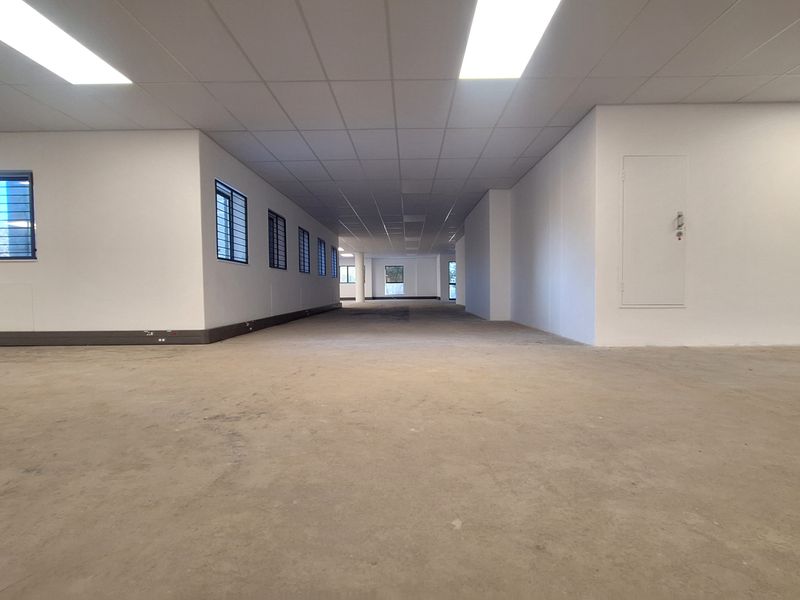 A spacious, empty open-plan office area featuring a suspended ceiling, recessed lighting, and security-barred windows, ready for custom flooring and fit-out.