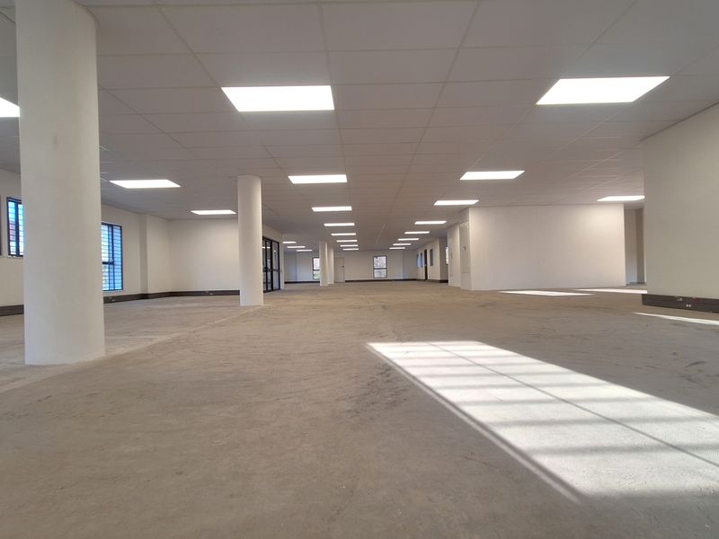 A spacious, open-plan office area featuring a suspended ceiling with recessed lighting, structural columns, and large windows with security bars.