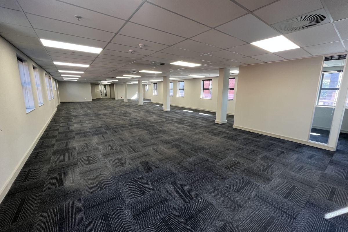 A spacious, open-plan office area featuring a suspended ceiling, recessed lighting, and durable carpet tiles, providing a clean and professional workspace.