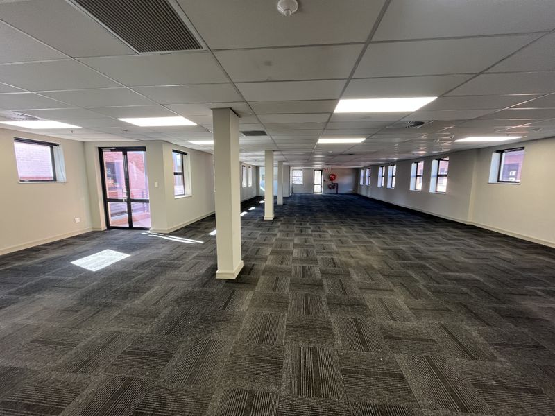 A spacious, open-plan office area featuring a suspended ceiling, recessed lighting, and durable carpet tiles, offering a clean and professional workspace.