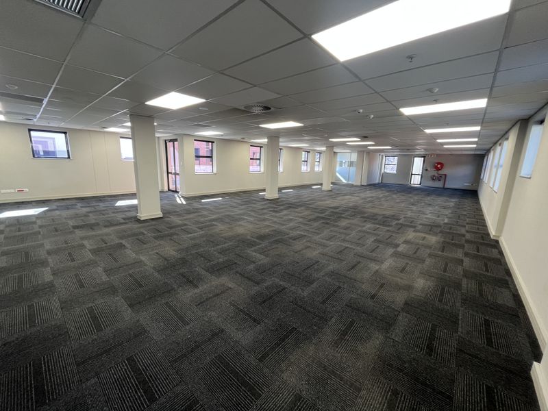 Spacious open-plan office area featuring a suspended ceiling, recessed lighting, and durable carpet tiles, providing a versatile workspace environment.