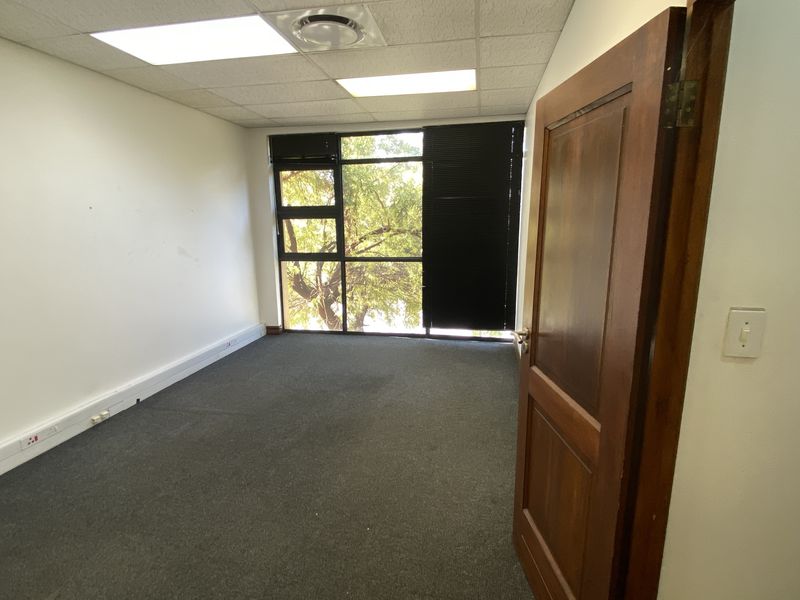 An empty office space featuring a suspended ceiling, recessed lighting, carpeted flooring, and a large window providing natural light.