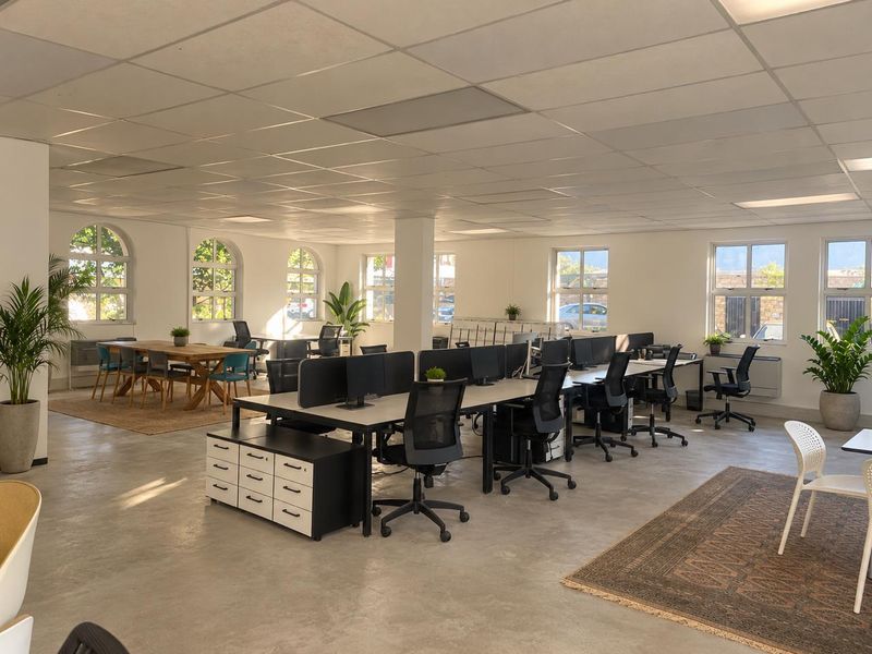 Spacious open-plan office area featuring polished concrete floors, a suspended ceiling, and multiple arched windows providing ample natural light.