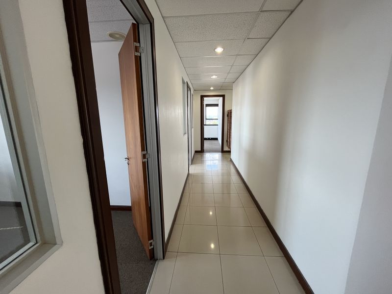 A clean, well-lit office hallway featuring neutral tiled flooring, a suspended ceiling with recessed lighting, and timber door frames leading to adjacent office spaces.