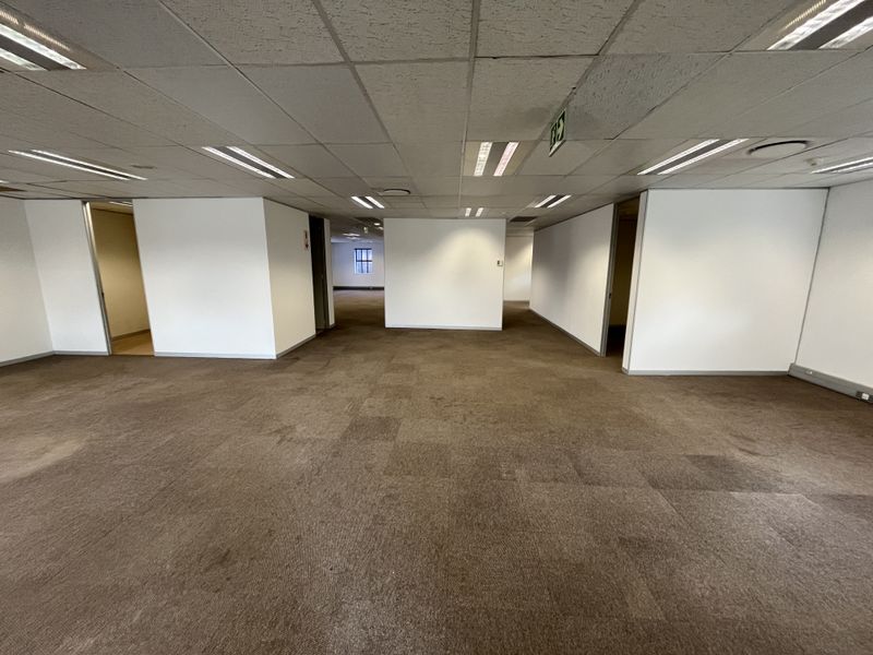 A spacious, vacant open-plan office area featuring suspended ceilings with recessed lighting and carpeted flooring, ready for custom fit-out.