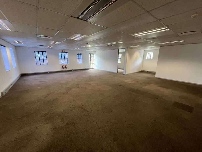 A spacious, vacant open-plan office area featuring suspended ceilings, recessed lighting, and carpeted flooring, ready for custom fit-out.