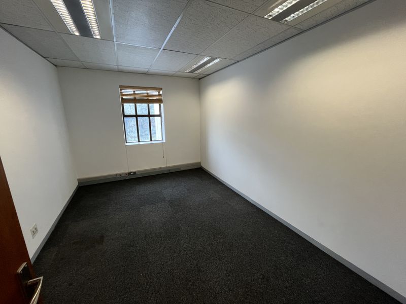A clean, empty office space featuring a suspended ceiling, recessed lighting, carpeted flooring, and a window with fitted blinds.